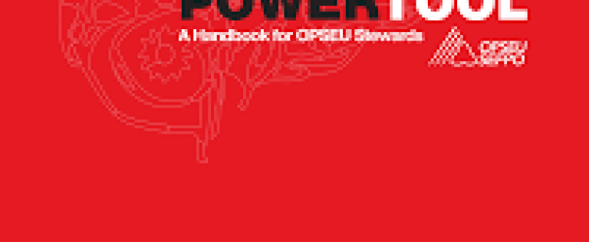 Steward Handbook